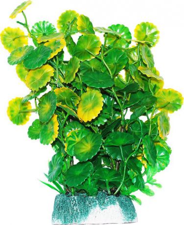 Растение для аквариума Уют "Щитолистник зелено-желтый", высота 24 см