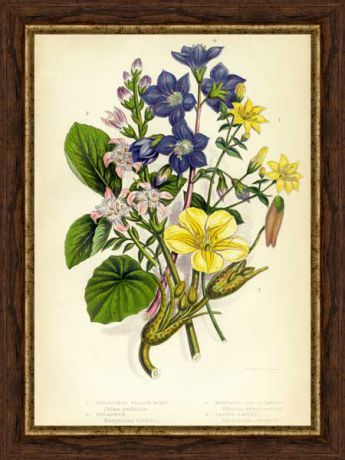 Картина в багете 30x40 см "Цветы и растения 4" Экорамка BE-103-360
