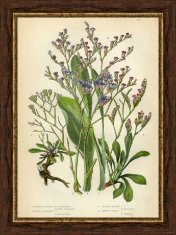Картина в багете 30x40 см "Цветы и растения 3" Экорамка BE-103-359