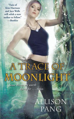 Allison Pang Trace of Moonlight