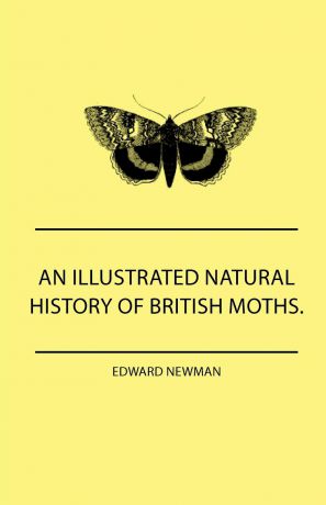 Edward Newman An Illustrated Natural History Of British Moths. With Life-Size Figures From Nature Of Each Species, And Of The More Striking Varieties - Also, Full Descriptions Of Both The Perfect Insect And The Caterpillar, Together With Dates Of Appearance, An...