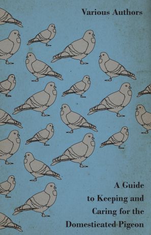 Various A Guide to Keeping and Caring for the Domesticated Pigeon