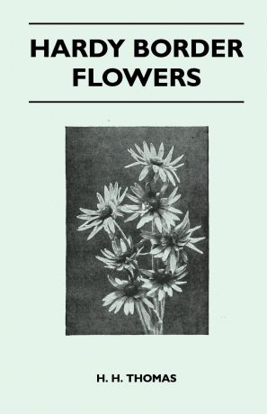 H. H. Thomas Hardy Border Flowers