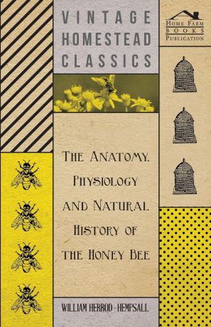 William Herrod-Hempsall The Anatomy, Physiology and Natural History of the Honey Bee