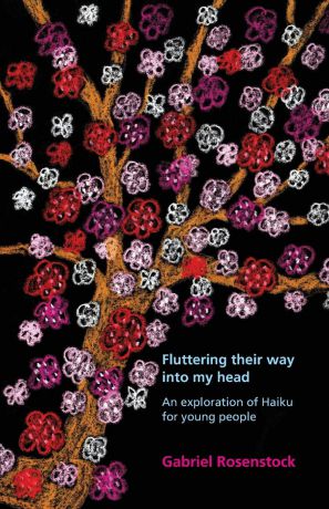 Gabriel Rosenstock, Mícheál Ó hAodha Fluttering their way into my head. An exploration of haiku for young people