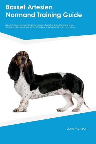 Brian Lawrence Basset Artesien Normand Training Guide Basset Artesien Normand Training Includes. Basset Artesien Normand Tricks, Socializing, Housetraining, Agility, Obedience, Behavioral Training and More