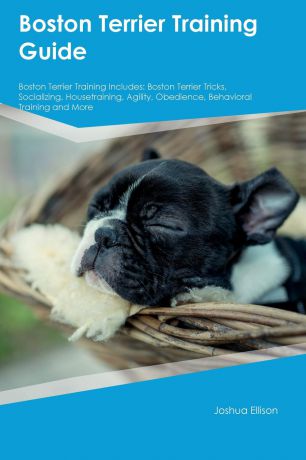 Ryan Campbell Boston Terrier Training Guide Boston Terrier Training Includes. Boston Terrier Tricks, Socializing, Housetraining, Agility, Obedience, Behavioral Training and More