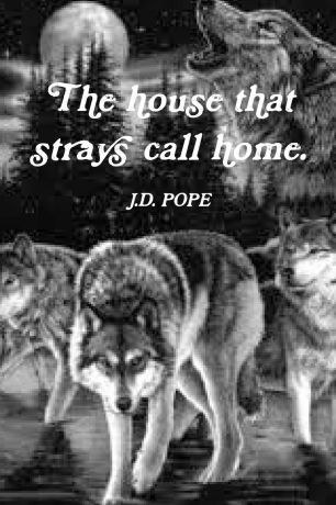 J. D. Pope The House That Strays Call Home.