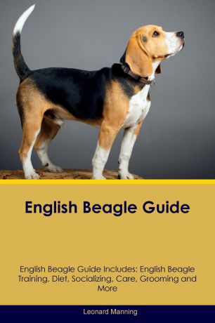 Leonard Manning English Beagle Guide English Beagle Guide Includes. English Beagle Training, Diet, Socializing, Care, Grooming, Breeding and More