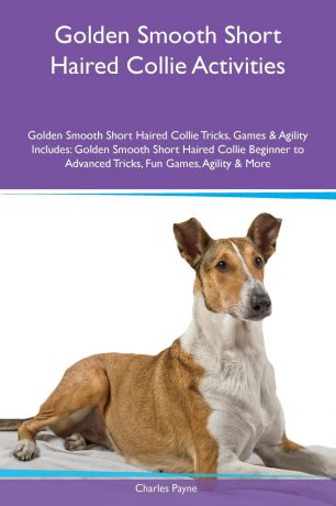 Charles Payne Golden Smooth Short Haired Collie Activities Golden Smooth Short Haired Collie Tricks, Games & Agility Includes. Golden Smooth Short Haired Collie Beginner to Advanced Tricks, Fun Games, Agility & More