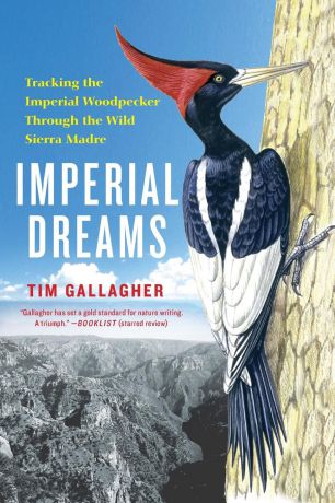 Tim Gallagher Imperial Dreams. Tracking the Imperial Woodpecker Through the Wild