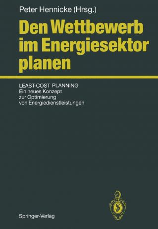 Peter Hennicke Den Wettbewerb im Energiesektor planen