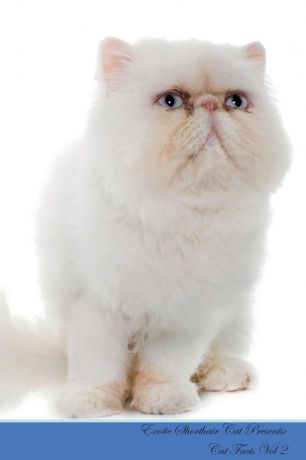 Kitty Loving Exotic Shorthair Cat Presents. Cat Facts Workbook. Exotic Shorthair Cat Presents Cat Facts Workbook with Self Therapy, Journalling, Productivity Tracker with Self Therapy, Journalling, Productivity Tracker Workbook. Includes: Space for Notes, To D...