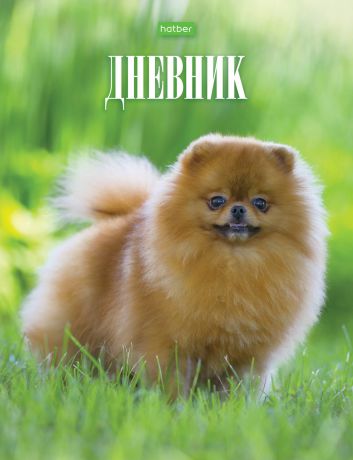 HATBER Дневник школьный "Fashion pets"для 1-11 классов в твердом глянцевом переплете