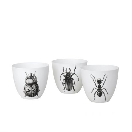 Набор подсвечников Broste Bug, цвет: белый, черный, 9х9х8 см, 3 шт. 14461504