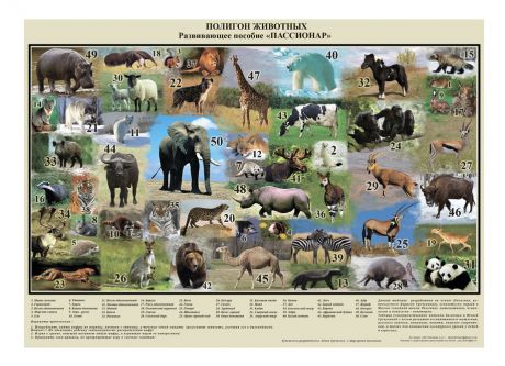 Комплект плакатов №1 от 2 лет (Таблица сотни, полигон животные, полигон Следы) от семьи Никитиных