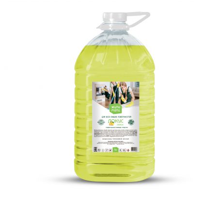 Универсальное чистящее средство Жили-Мыли универсальное "Локус" Лимон, зеленый, 5