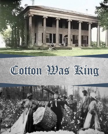 Wiliam Dr. McDonald, Butch Walker Cotton Was King. Indian Farms to Lauderdale County Plantations