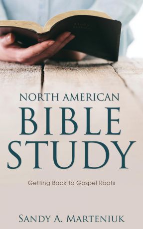 Sandy A. Marteniuk North American Bible Study. Getting Back to Gospel Roots