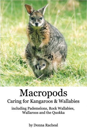 Donna Racheal Macropods - Caring for Kangaroos and Wallabies