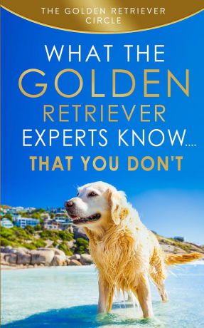 The Golden Retriever Circle Golden Retriever. What the Golden Retriever Experts Know....That You Don't