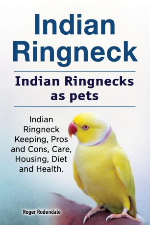 Roger Rodendale Indian Ringneck. Indian Ringnecks as pets. Indian Ringneck Keeping, Pros and Cons, Care, Housing, Diet and Health.