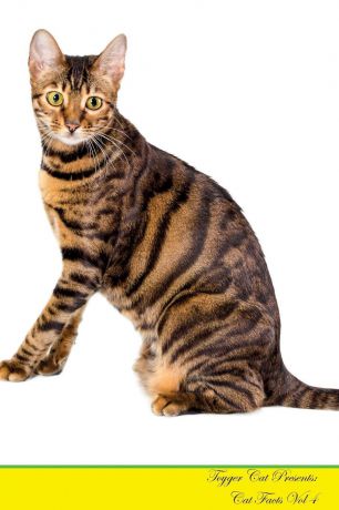 Kitty Loving Toyger Cat Presents. Cat Facts Workbook. Toyger Cat Presents Cat Facts Workbook with Self Therapy, Journalling, Productivity Tracker with Self Therapy, Journalling, Productivity Tracker Workbook. Includes: Space for Notes, To Do Lists, Brainstorms...