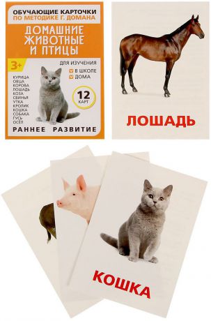 Обучающие карточки по методике Г. Домана Домашние животные и птицы