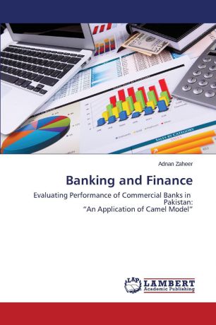 Zaheer Adnan Banking and Finance