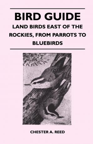 Chester A. Reed Bird Guide - Land Birds East of the Rockies, From Parrots to Bluebirds