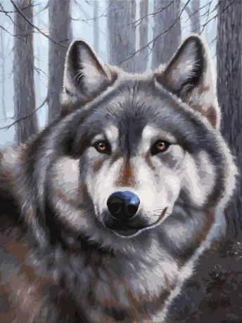 Набор для живописи Белоснежка Волк, 33 цвета