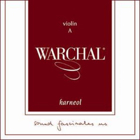 Комплект струн для скрипки Warchal Karneol 500B