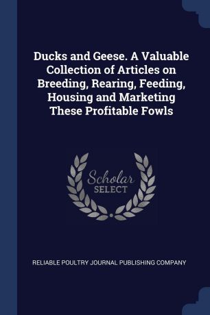 Ducks and Geese. A Valuable Collection of Articles on Breeding, Rearing, Feeding, Housing and Marketing These Profitable Fowls