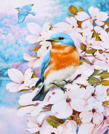 Картина по номерам Школа талантов "Птички в цветах", 2467734, 30 х 40 см