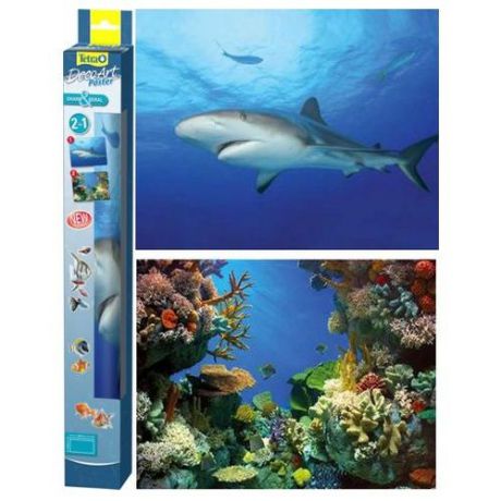 Фон TETRA DecoArt двухсторонний Акула/Кораллы 45х60 см шт.