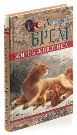 Жизнь животных. Млекопитающие. Отряд хищные