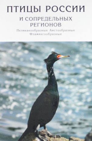 Андронов В. Птицы России и сопредельных регионов : Пеликанообразные, Аистообразные, Фламингообразные