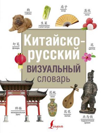 Воропаев Н.Н. Китайско-русский визуальный словарь