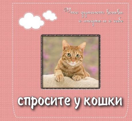 Спросите у кошки. Что думают кошки о людях и о себе