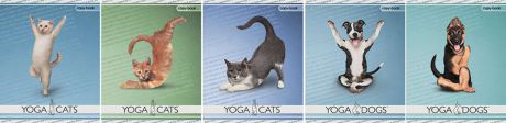 Тетрадь, Академия Групп, Серия "Yoga Dogs/Cats", А5, 48 листов, линейка, на скрепке, YD45/5