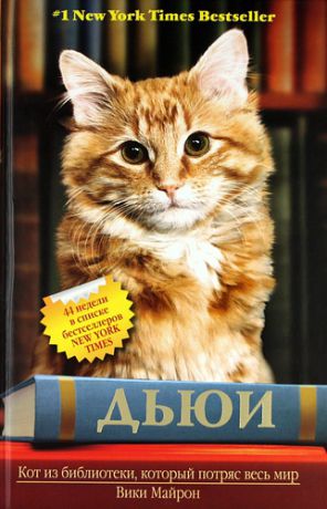Майрон, Вики Дьюи. Кот из библиотеки, который потряс весь мир
