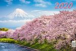 Календарь квартальный (310*685) на 3-х спиралях на 2020г Цветение сакуры