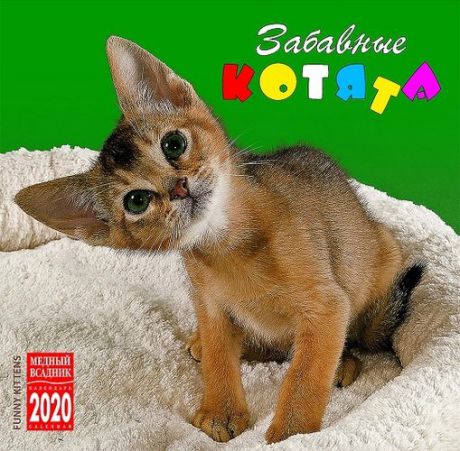 Календарь на скрепке (КР10) на 2020 год 30*30см Забавные котята [КР10-20318]