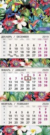 Календарь квартальный трио на 2020г 0607.098-Тукан в тропиках