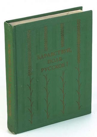 Здравствуй, поле русское!