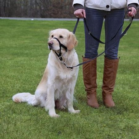 TRIXIE Намордник Trixie для собак тренировочный XL кор40 см длина поводка 46-58 см