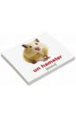 Епанова Е. В., Носова Т. Е. Комплект карточек Мини-20 "Les animaux domestiq. Домашние животные" (французский язык)