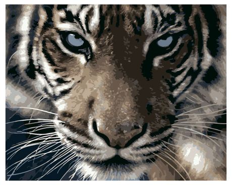 Картина по номерам по дереву Взгляд тигра Рыжий кот 30х40см