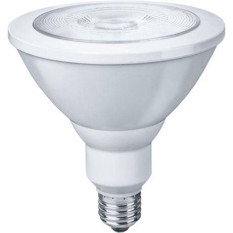 Лампа светодиодная Navigator 61 201 nll-fito-par38-15-230-e27