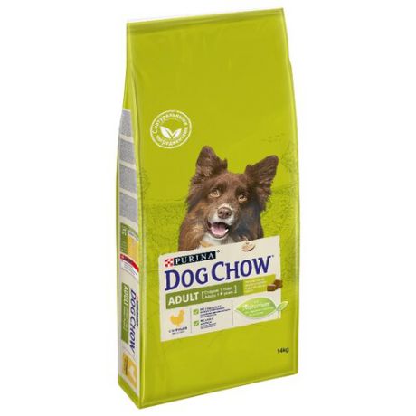 Сухой корм для собак DOG CHOW для здоровья кожи и шерсти, курица 14 кг (для средних пород)